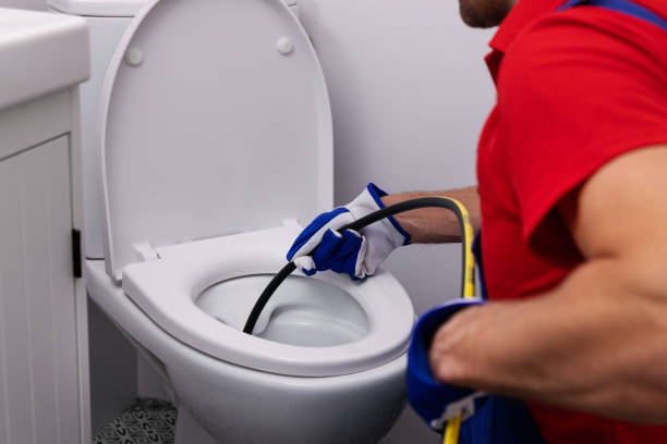 Best Leak Detection Services  in Taylorvle, IL