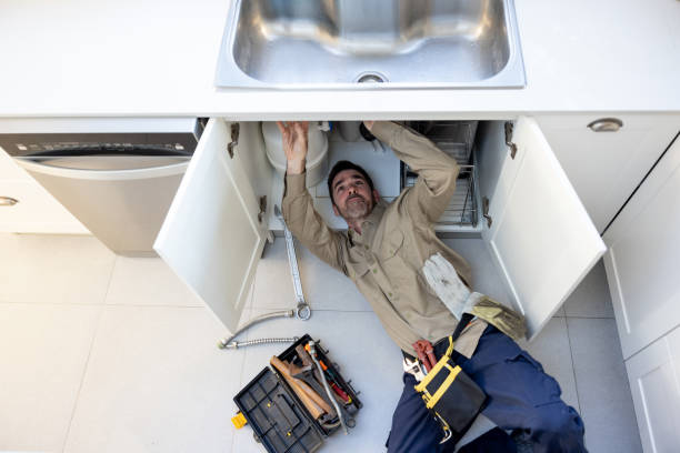 Best Best Plumbers Near Me  in Taylorvle, IL