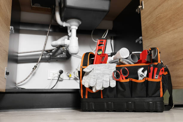 Best 24-Hour Plumber Near Me  in Taylorvle, IL