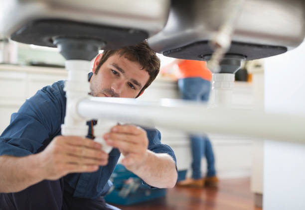 Best Drain Cleaning Services  in Taylorvle, IL