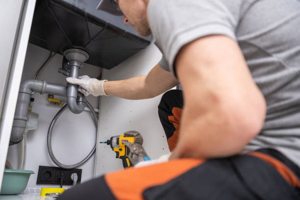 Best Leak Detection Services  in Taylorvle, IL