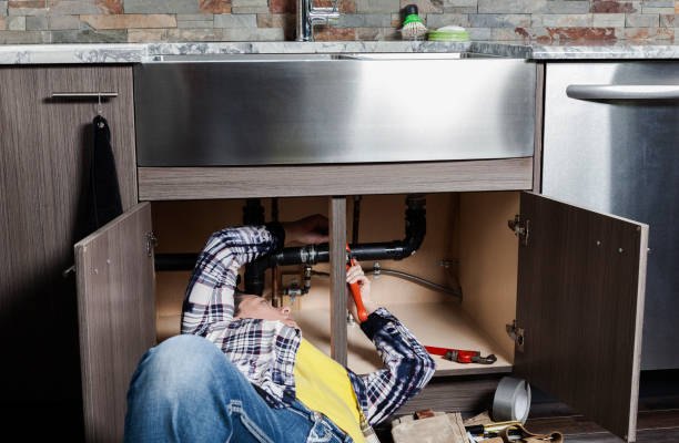Best Same-Day Plumbing Service  in Taylorvle, IL