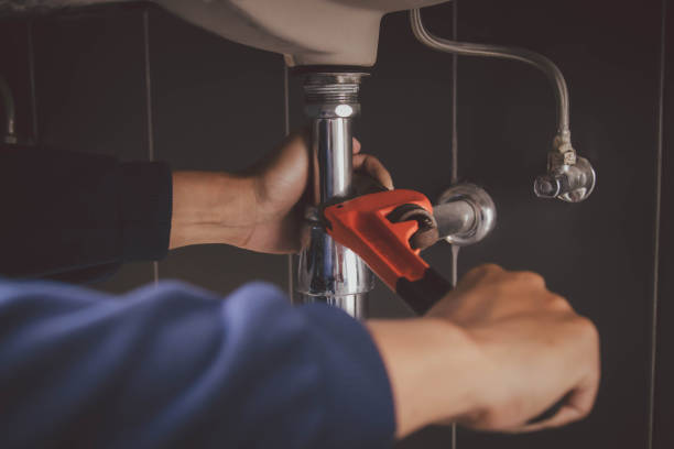 Best Same-Day Plumbing Service  in Taylorvle, IL
