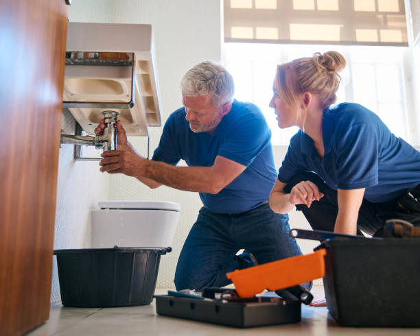 Best Sprinkler Systems  in Taylorvle, IL