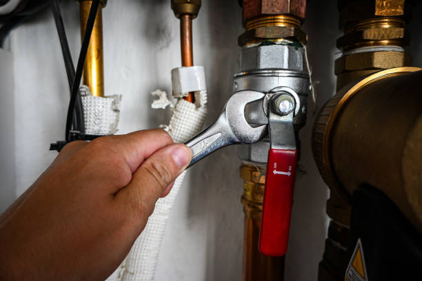 Best Water Leak Repair  in Taylorvle, IL